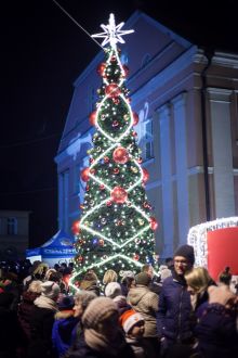 Miniatura zdjęcia: Fotka 84