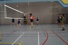 Miniatura zdjęcia: Turnieje siatkarskie organizowane przez UKS „Kasztelan” Międzyrzecz