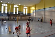 Miniatura zdjęcia: Turnieje siatkarskie organizowane przez UKS „Kasztelan” Międzyrzecz