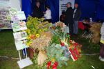 Miniatura zdjęcia: XVII Lubuskie Święto Plonów Międzyrzecz 2015 60