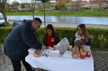 Miniatura zdjęcia: Jubileuszowy Piknik Wojciechowy