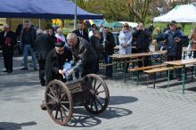 Miniatura zdjęcia: Jubileuszowy Piknik Wojciechowy