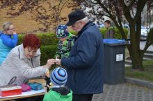 Miniatura zdjęcia: Jubileuszowy Piknik Wojciechowy