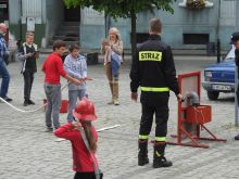 Miniatura zdjęcia: Rodzinna gra miejska w Międzyrzeczu!