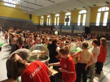 Miniatura zdjęcia: Fotka 66