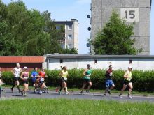 Miniatura zdjęcia: Fotka 53