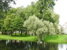 Miniatura zdjęcia: Kolejne dofinansowanie dla gminy Międzyrzecz