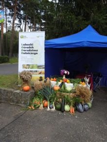 Miniatura zdjęcia: Gminne Święto Plonów w Kęszycy Leśnej