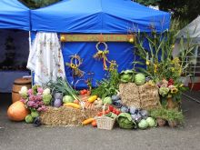 Miniatura zdjęcia: Gminne Święto Plonów w Kęszycy Leśnej