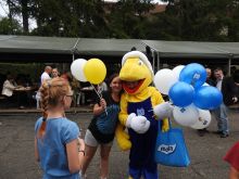 Miniatura zdjęcia: Fotka 92