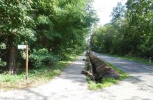 Miniatura zdjęcia: Budowa oświetlenia przy ul. Poznańskiej