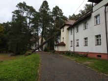 Miniatura zdjęcia: Gmina Międzyrzecz po przejściu orkanu Ksawery