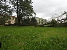 Miniatura zdjęcia: Gmina Międzyrzecz po przejściu orkanu Ksawery