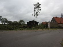 Miniatura zdjęcia: Gmina Międzyrzecz po przejściu orkanu Ksawery