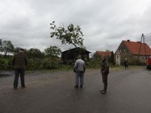 Miniatura zdjęcia: Gmina Międzyrzecz po przejściu orkanu Ksawery
