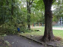 Miniatura zdjęcia: Gmina Międzyrzecz po przejściu orkanu Ksawery