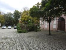 Miniatura zdjęcia: Fotka 31