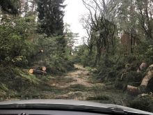 Miniatura zdjęcia: Fotka 33