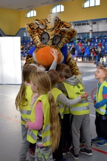 Miniatura zdjęcia: Fotka 26