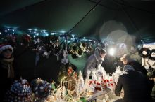 Miniatura zdjęcia: Fotka 43