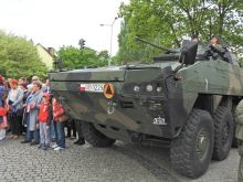 Miniatura zdjęcia: Fotka 27