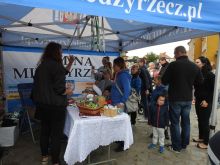 Miniatura zdjęcia: V. Parada Lokomotyw w Międzyrzeczu