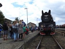 Miniatura zdjęcia: V. Parada Lokomotyw w Międzyrzeczu