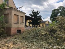 Miniatura zdjęcia: Fotka 1