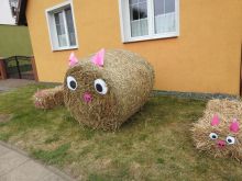 Miniatura zdjęcia: Fotka 2