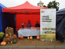 Miniatura zdjęcia: Fotka 5