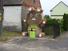 Miniatura zdjęcia: Fotka 7