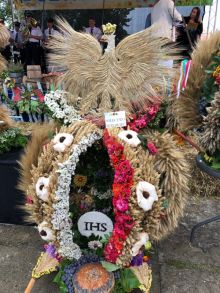 Miniatura zdjęcia: Fotka 44