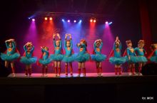 Miniatura zdjęcia: Wspaniały 26. Finał WOŚP w Międzyrzeczu