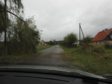 Miniatura zdjęcia: Gmina Międzyrzecz po przejściu orkanu Ksawery