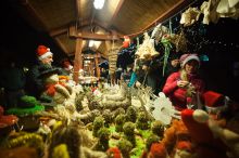 Miniatura zdjęcia: Fotka 28