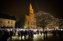 Miniatura zdjęcia: Fotka 69